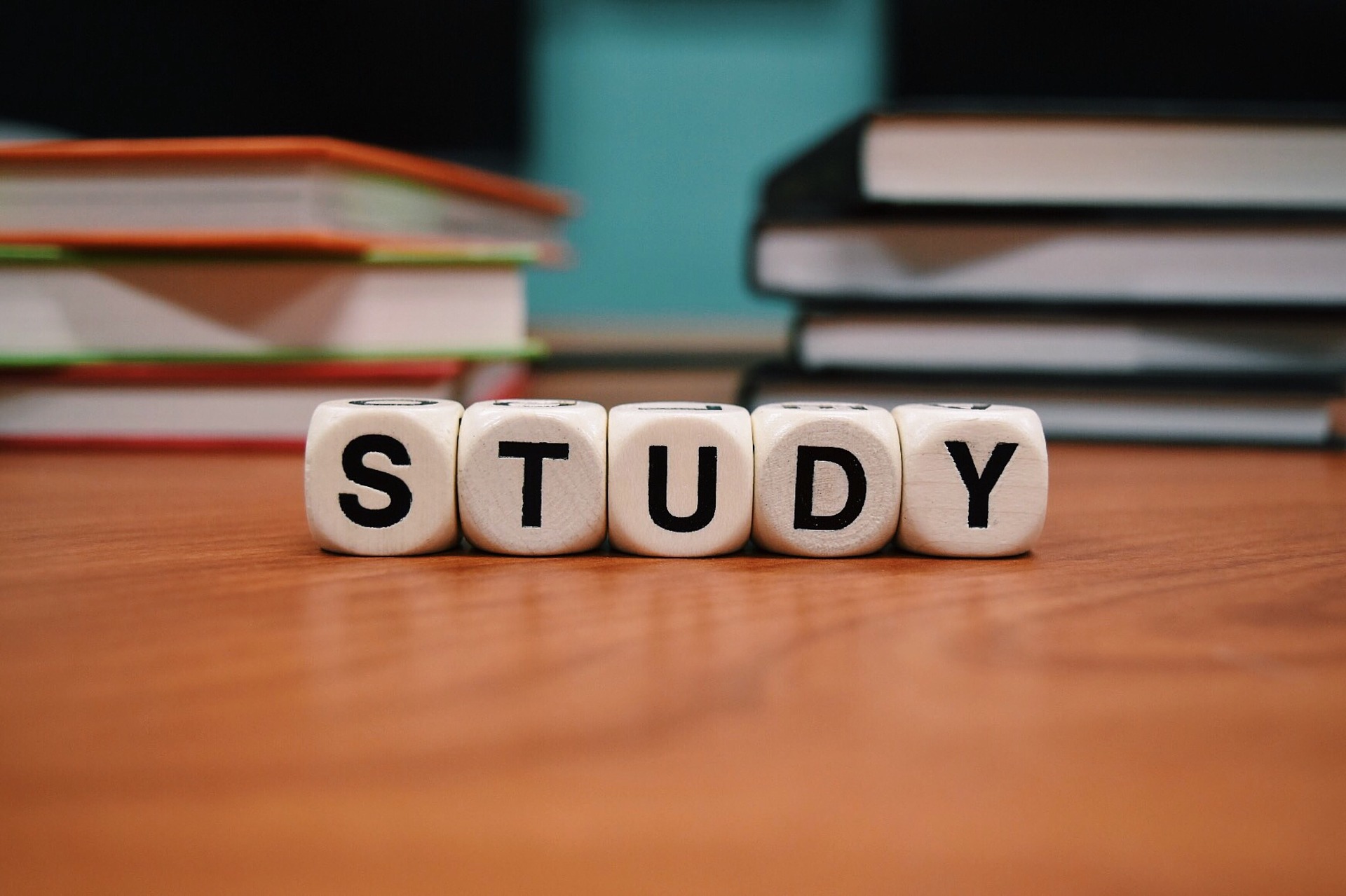 Our Study Plan
